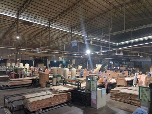 山圩產(chǎn)業(yè)園延鏈補鏈強鏈助推木業(yè)產(chǎn)業(yè)高質(zhì)量發(fā)展